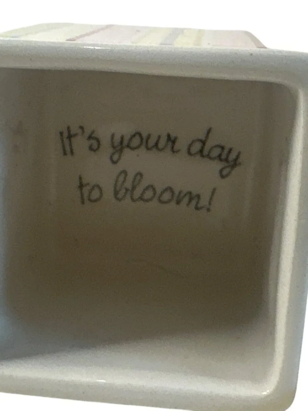 Marjolein Bastin Ceramic Trinket Box Poppy Flower Stripes Bloom/Bold Small Decor